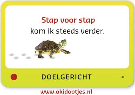 coaching okidootjes stap verder komen